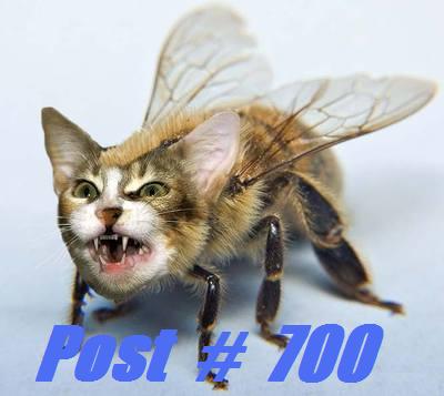 bee-cat 700.jpg