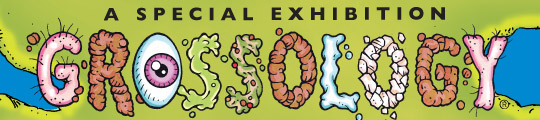 Grossology Exhibition.jpg