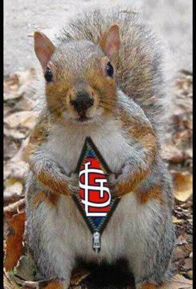 rally squirrel.jpg