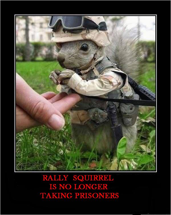 squirrel marine.jpg