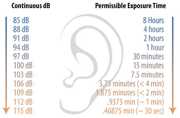 decibel_exposure_chart.gif