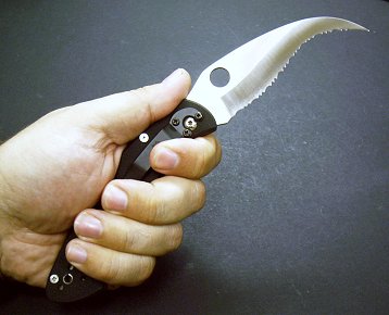 spydbiggun07.jpg