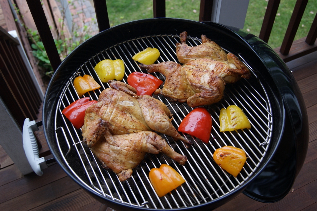 DSC02269 (1024x681).jpg