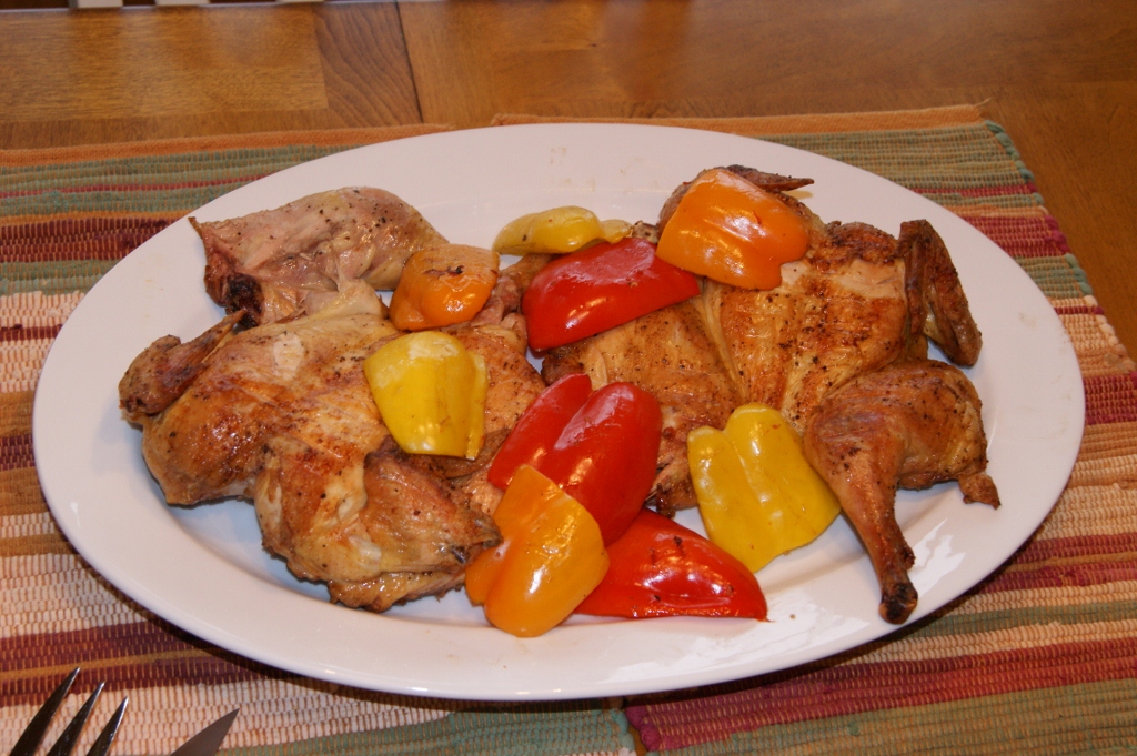 DSC02270 (1024x681).jpg