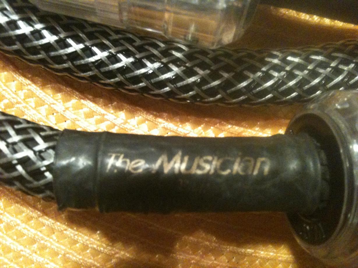 Power cable and PS AUdio PPP 275.JPG