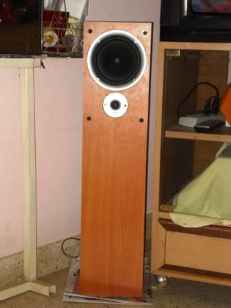 polk r300