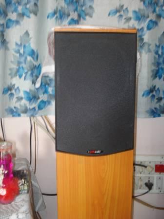 polk audio r300