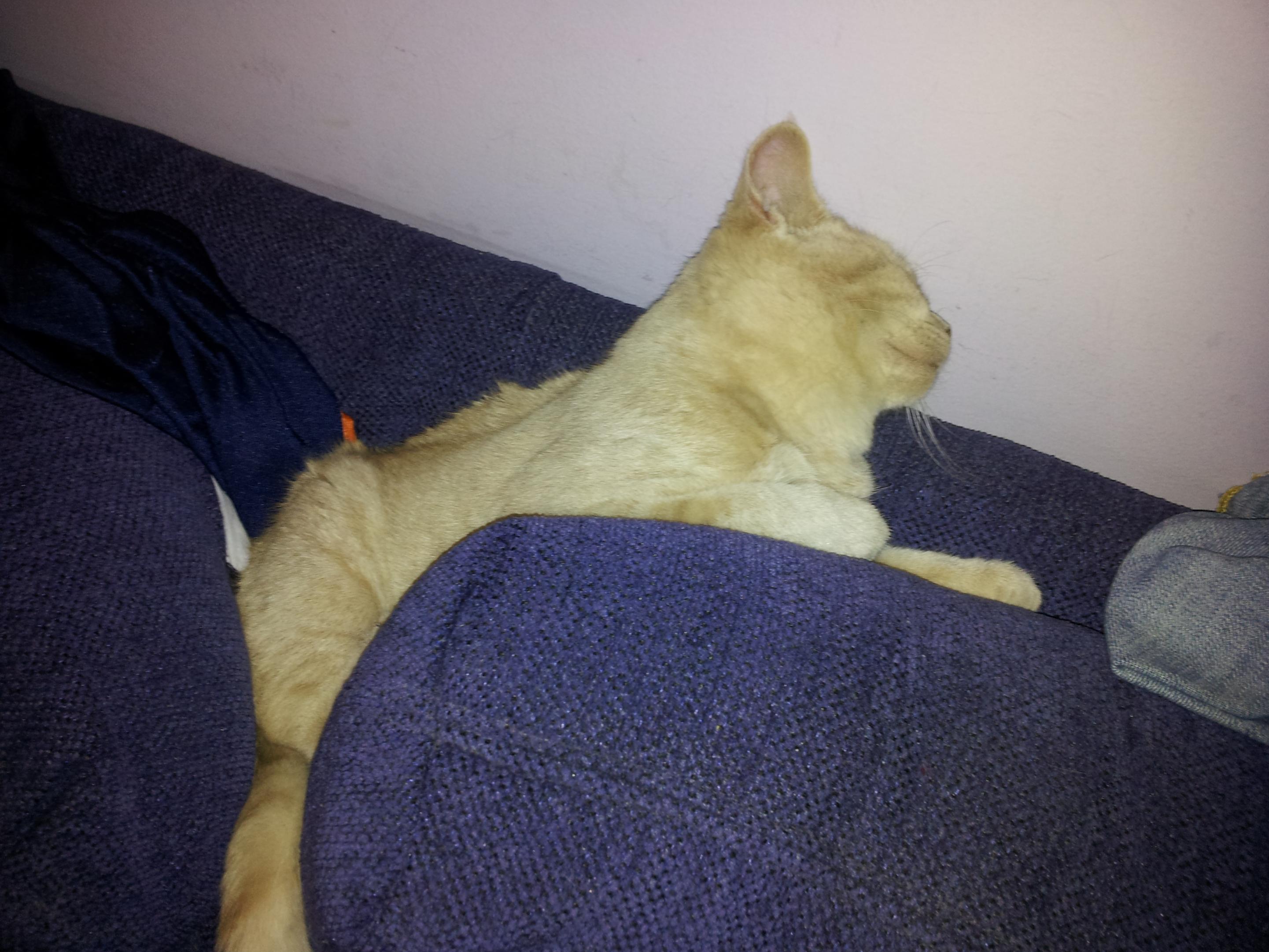 20111120_143841.jpg