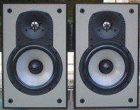 Paradigm Mini Monitor (Vers. 2.jpg