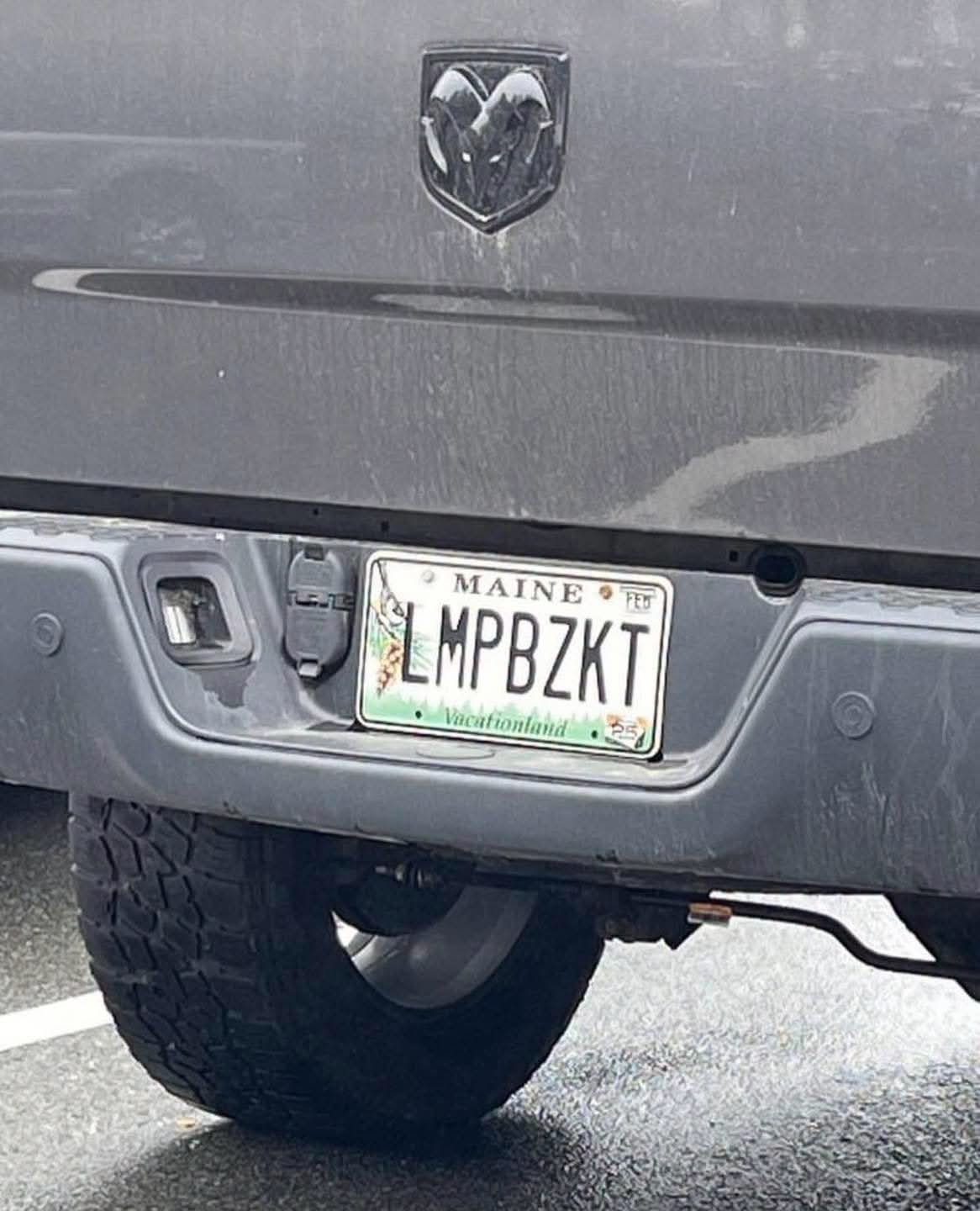 x8u6bvw0zth6.jpg
