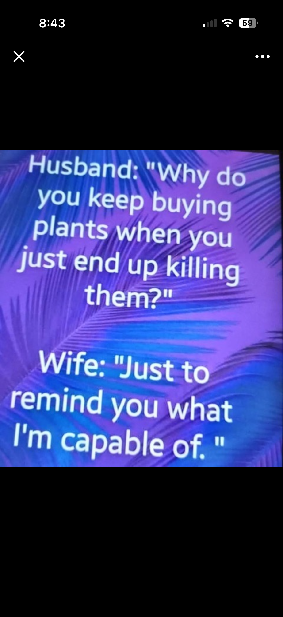 c3k3mqu4a84e.png