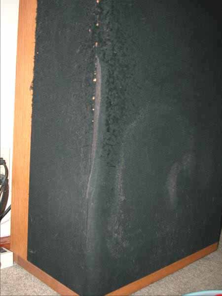 geai9mh807jh.jpg