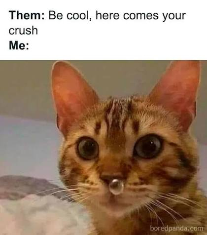1gan5qe0m6e8.jpg