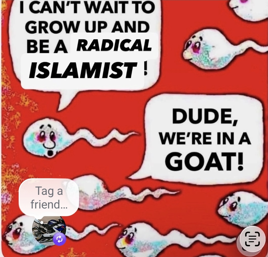 5id77hyjcqm4.png