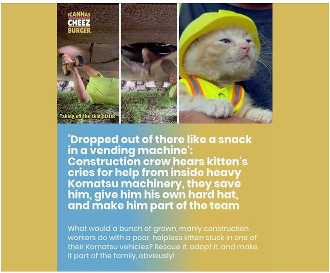 6tl1ejvvw11t.png