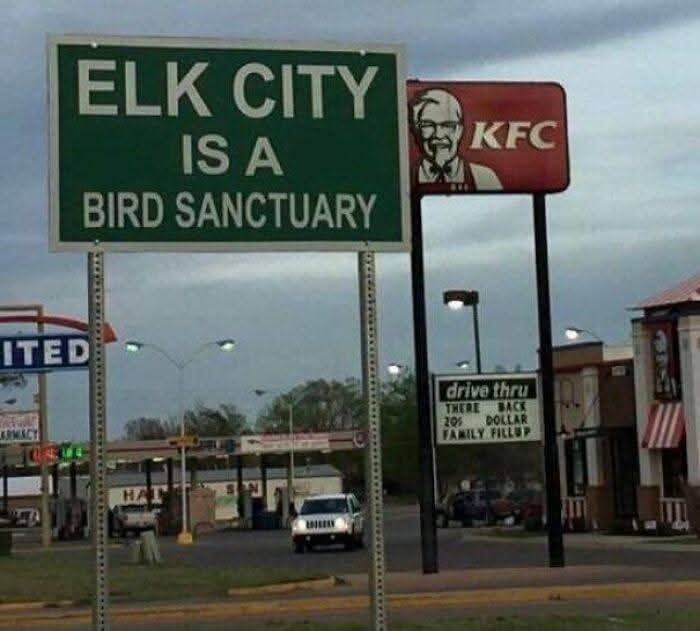 ejo4gft58e77.jpg