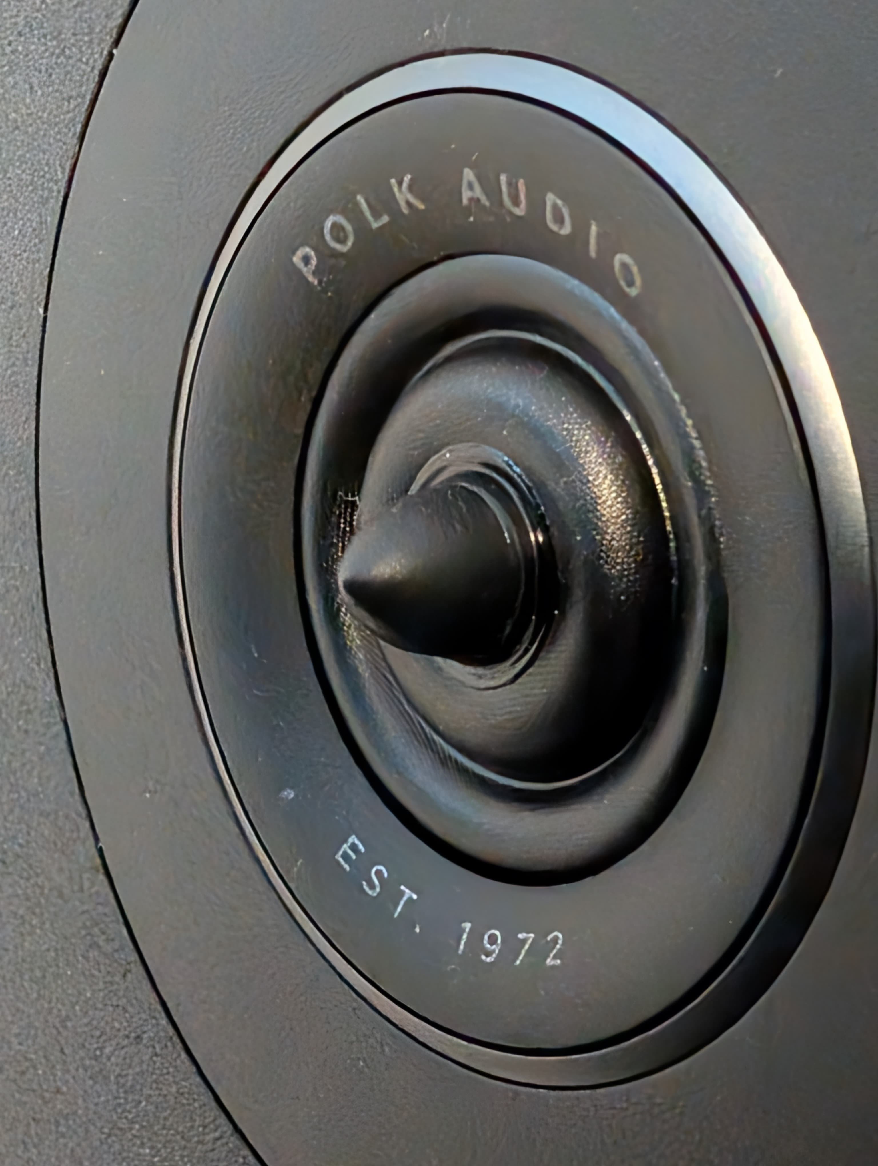 m5kfpl1fm78j.jpg