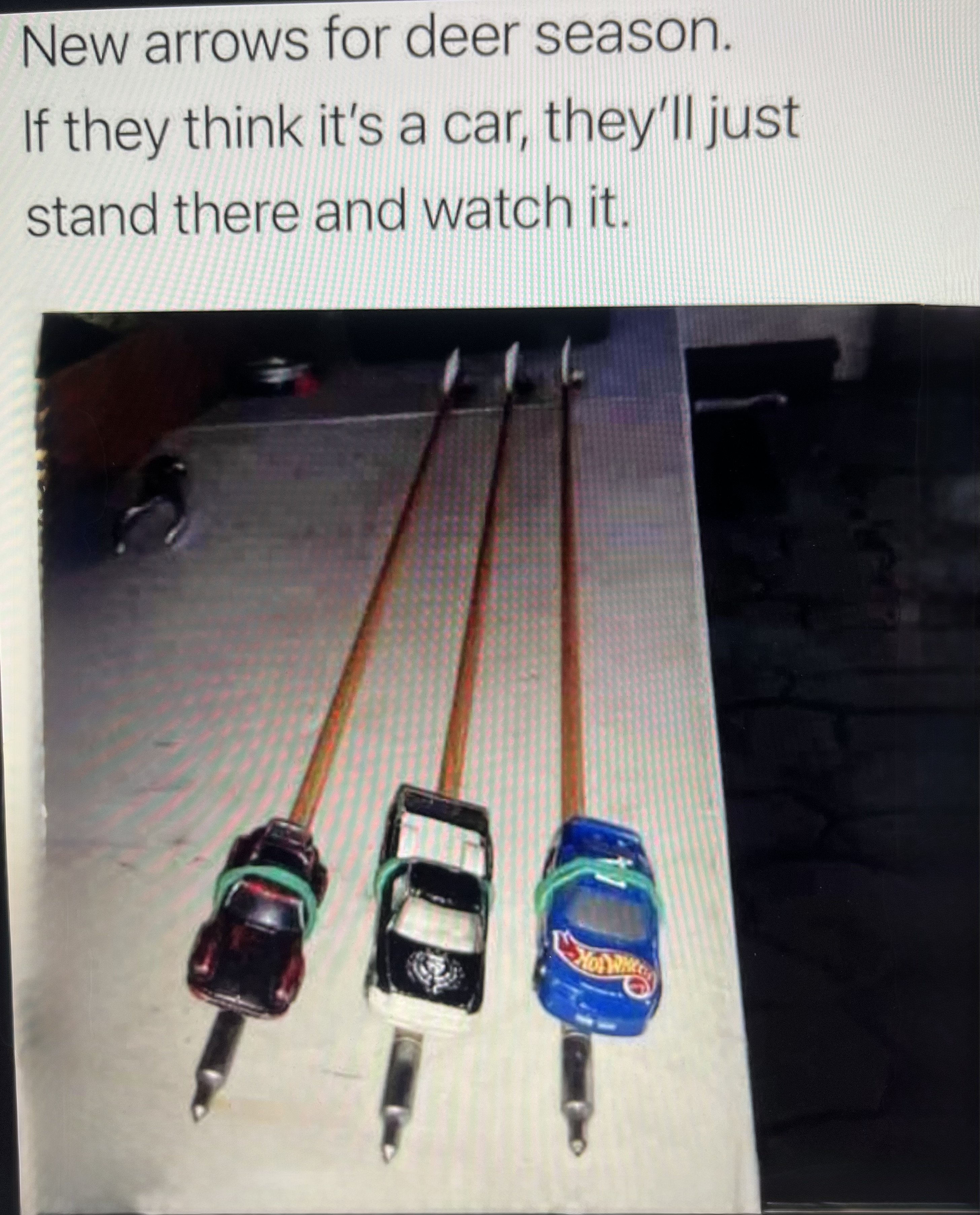 sezsimbm6ris.jpeg