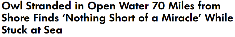 btppie855wy1.png