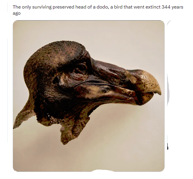 x4511eky1y63.png
