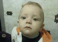 dj60hogc1bk4.gif