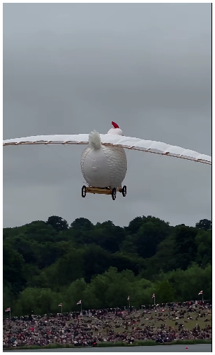 fwl1rzmuts38.png