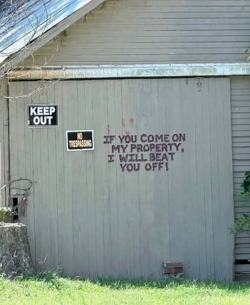 626pbtzvylrt.jpeg