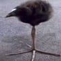 llllllll
