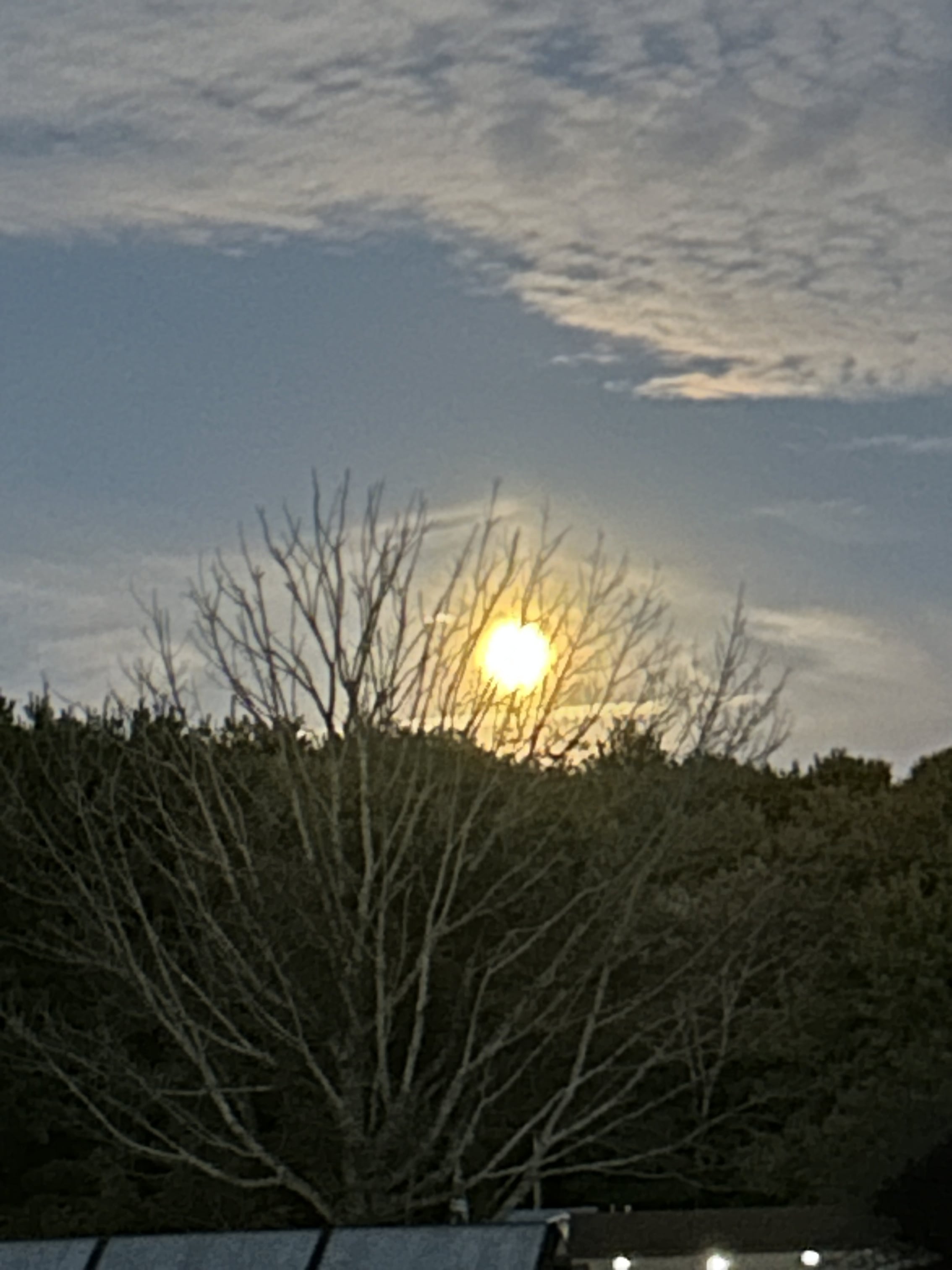 IMG_1955.jpeg
