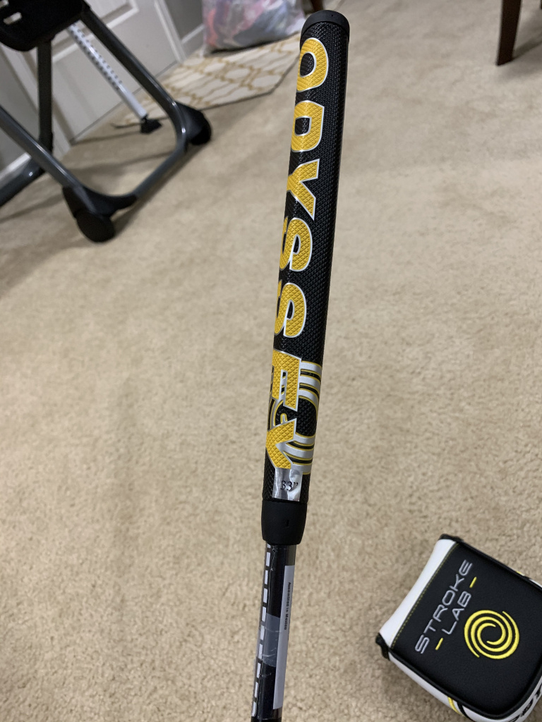 odyssey ten stroke lab
