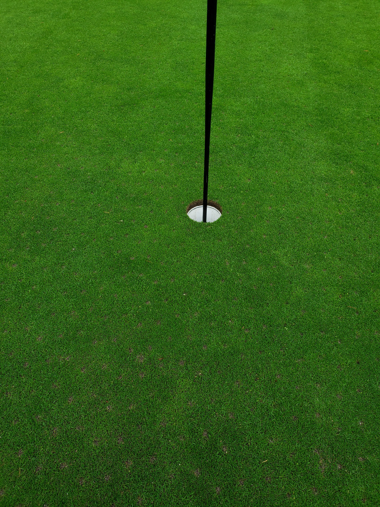 Another Punched Greens Post Page 2 — GolfWRX