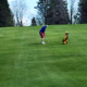 Noahlevine2145