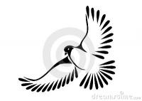 C Bird