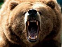 Redbear90