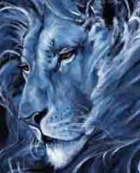 Blue Daddy Lion