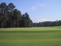 tigers9iron
