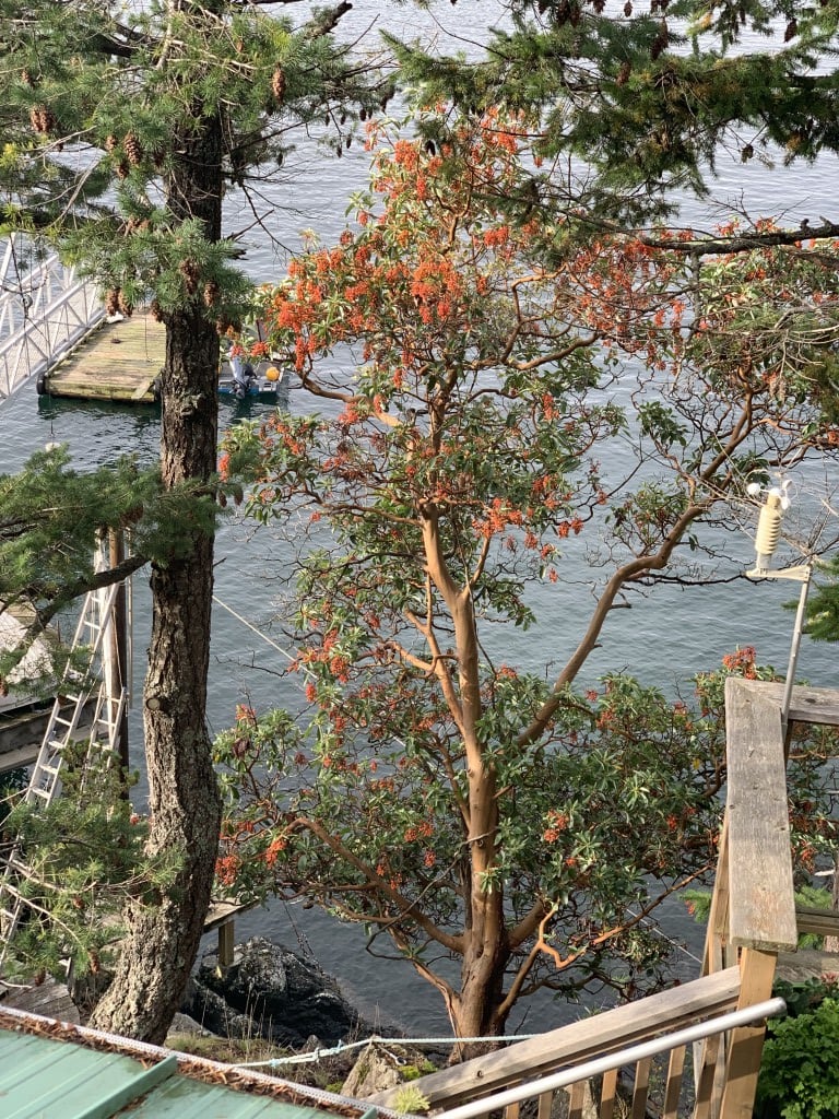 Image: https://us.v-cdn.net/6024911/uploads/editor/bq/rfzaou6q1sn9.jpg