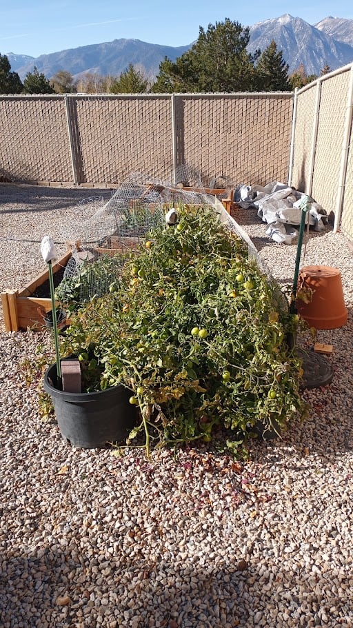 Image: https://us.v-cdn.net/6024911/uploads/editor/jp/fpfsaouu12r5.jpg