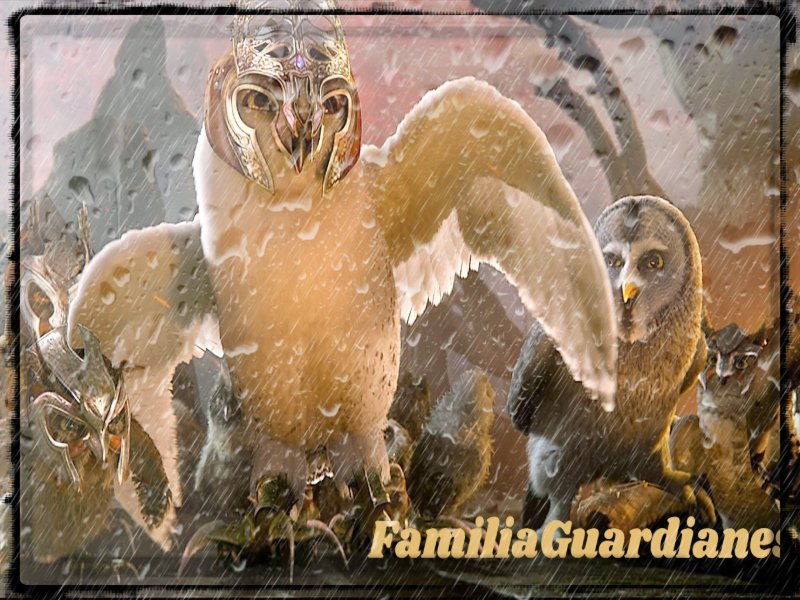 buhos-guardianes1.png