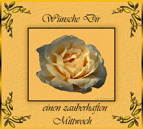 Schönen mittwoch gifs