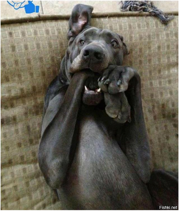 Image: https://us.v-cdn.net/6025126/uploads/FileUpload/6e/ef1cda0310300adb5b7f690c9a9163.png