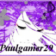 paulgamer29