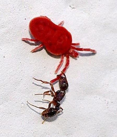 Image: https://us.v-cdn.net/6025126/uploads/editor/0w/bi2wrh0ku6z1.jpg