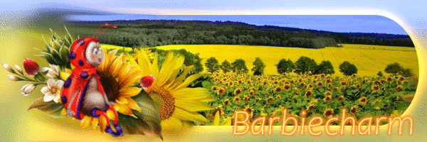 Image: https://us.v-cdn.net/6025126/uploads/editor/1u/sm4ccpfzzduf.gif