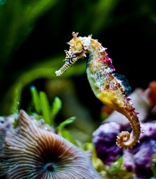 Image: https://us.v-cdn.net/6025126/uploads/editor/35/ay5q8kda6lza.jpg