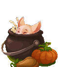 Image: https://us.v-cdn.net/6025126/uploads/editor/4e/1cg50p0p3xjb.gif