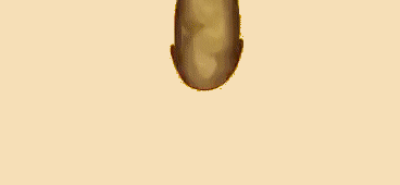 Image: https://us.v-cdn.net/6025126/uploads/editor/5w/09hklmlat6dh.gif