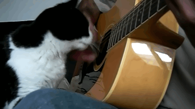 Image: https://us.v-cdn.net/6025126/uploads/editor/9o/in6a7q5nqtrm.gif
