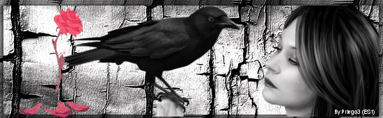 Image: https://us.v-cdn.net/6025126/uploads/editor/ap/br55hco4855g.gif