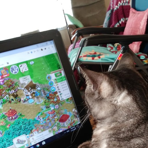 Image: https://us.v-cdn.net/6025126/uploads/editor/aw/cf3kvwnxnpzi.jpg